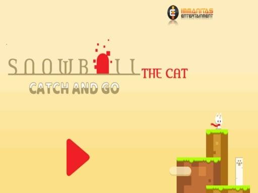 Snowball The Cat Catch and Go cover