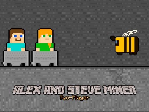 Alex and Steve Miner Two Player cover